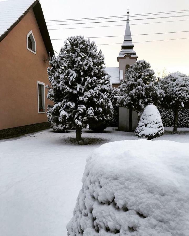 Vidiecky Dom Alexsandra - Ubytovanie V Sukromi Liptovska Ondrasova Exterior foto